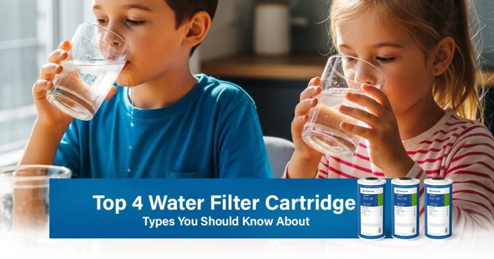 what is water filter cartridge and types explained