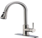 Spray Kitchen Faucet