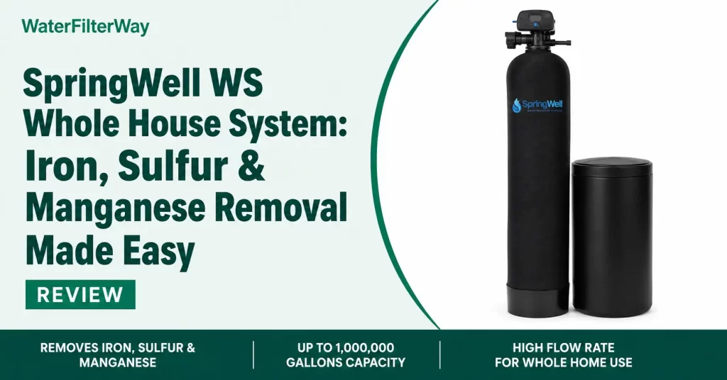 SpringWell WS whole house water filter system removing iron, sulfur, and manganese from home water supply